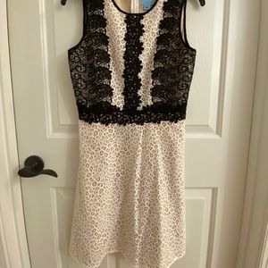 CeCe white and black lace dress, sz 4